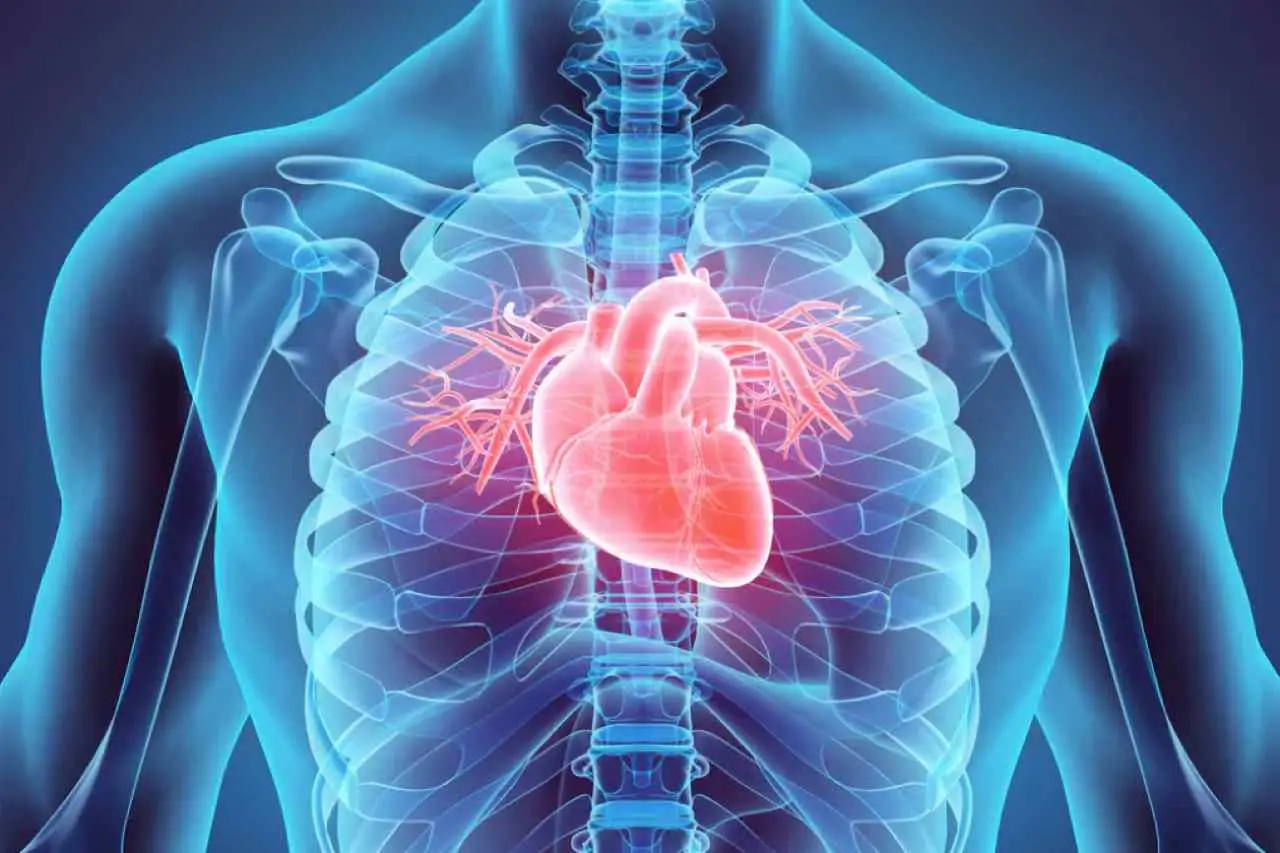 Le malattie cardio circolatorie più diffuse: quali sono e perché è importante riconoscerle per la nostra salute
