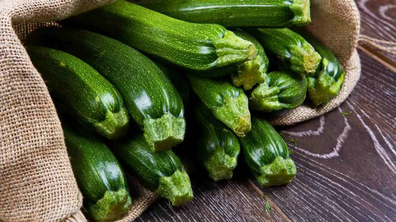 Quando è il momento giusto per trapiantare le zucchine e ottenere un raccolto abbondante?