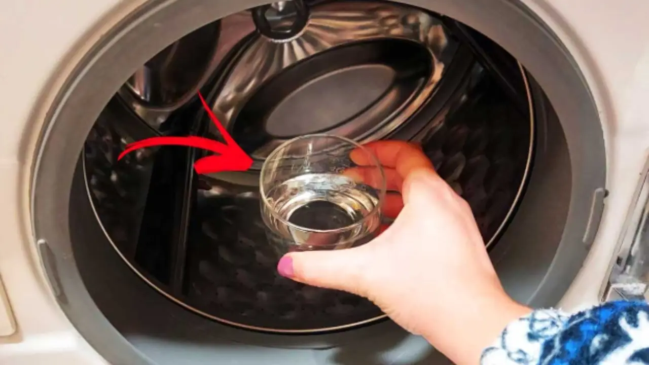 Metodo semplice per sgrassare la lavatrice: ecco cosa funziona davvero