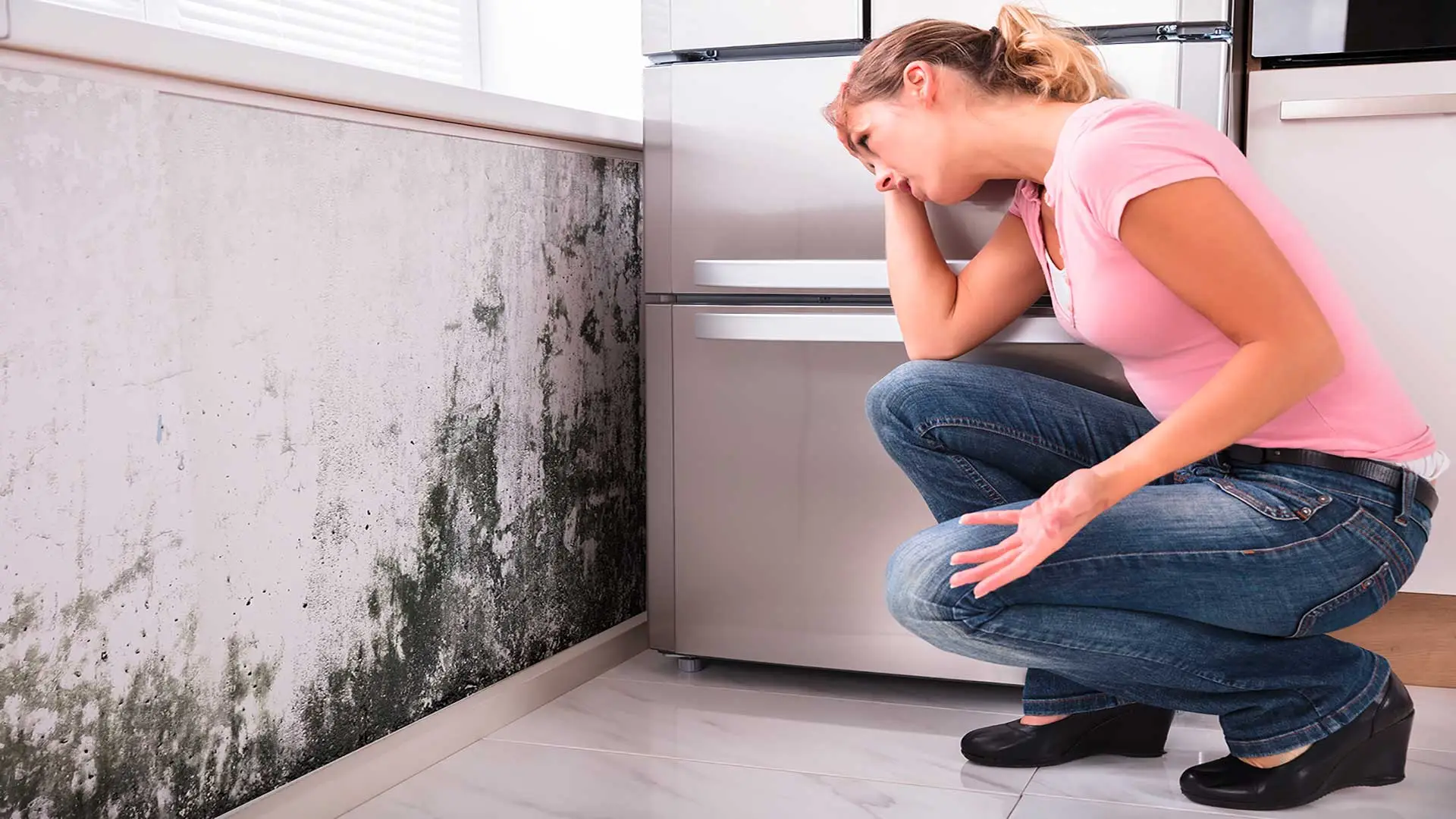 Ecco il rimedio efficace per eliminare la muffa dai muri: il risultato è sorprendente