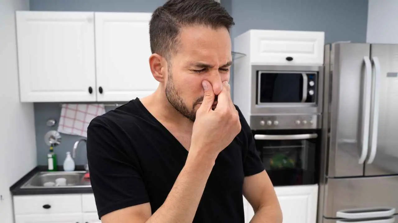 L’odore di cucina che resta in casa: come lo elimini definitivamente