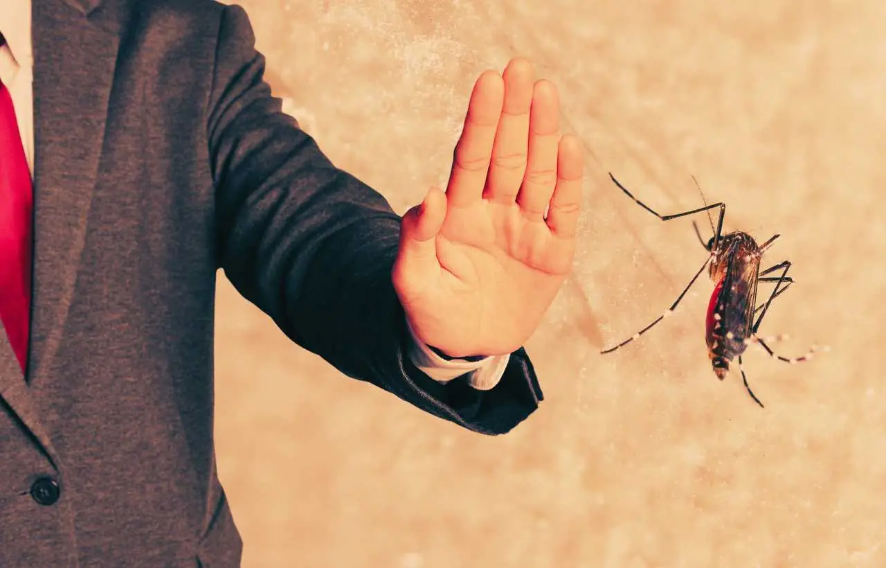 Quanto costa davvero questo nuovo sistema anti-zanzare? Ecco come funziona