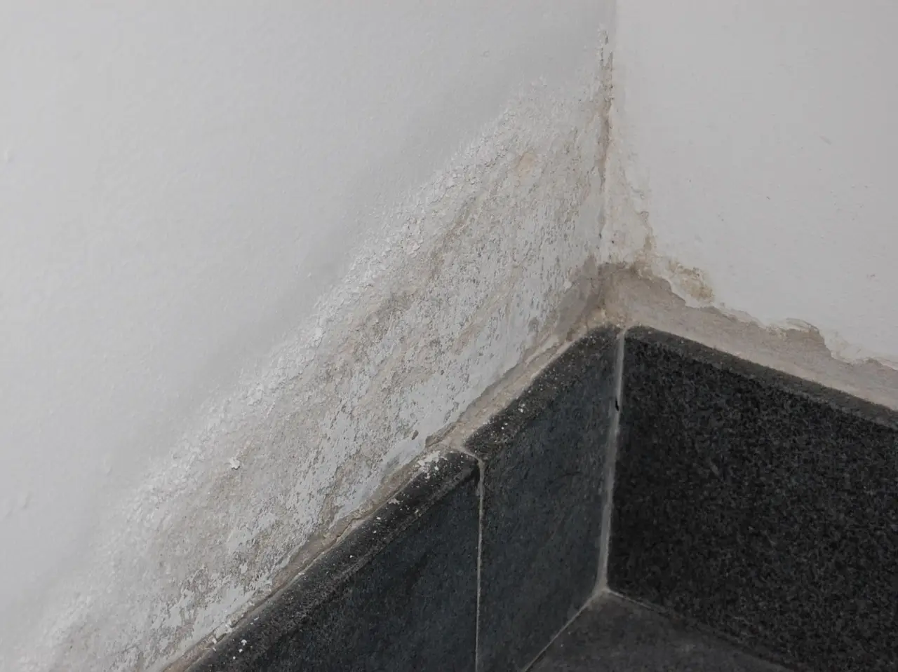 Soluzioni definitive per eliminare l’odore di umidità in casa